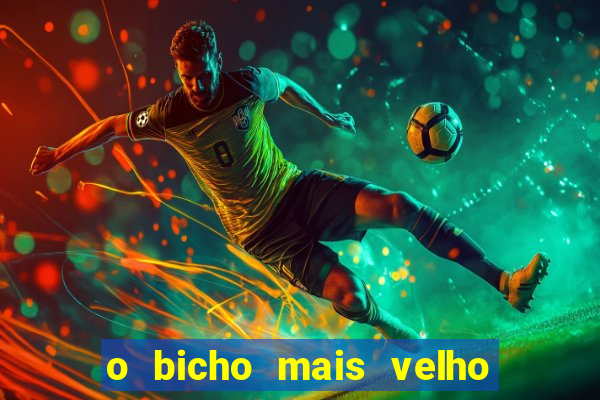 o bicho mais velho da loteria dos sonhos